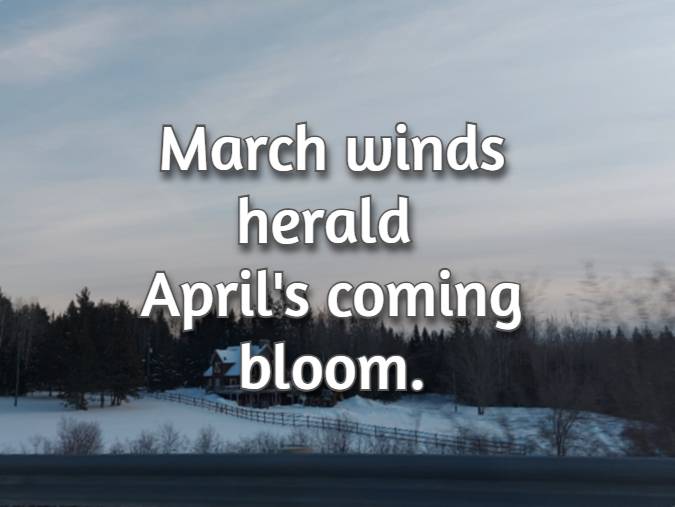 March winds herald April's coming bloom.