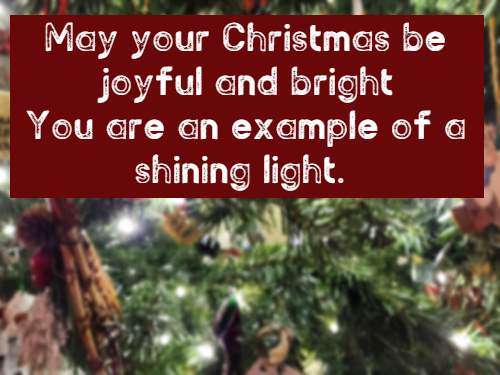 May your Christmas be joyful and bright You are an example of a shining light.