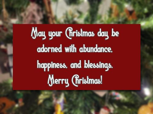   May your Christmas day be adorned with abundance, happiness, and blessings. Merry Christmas!