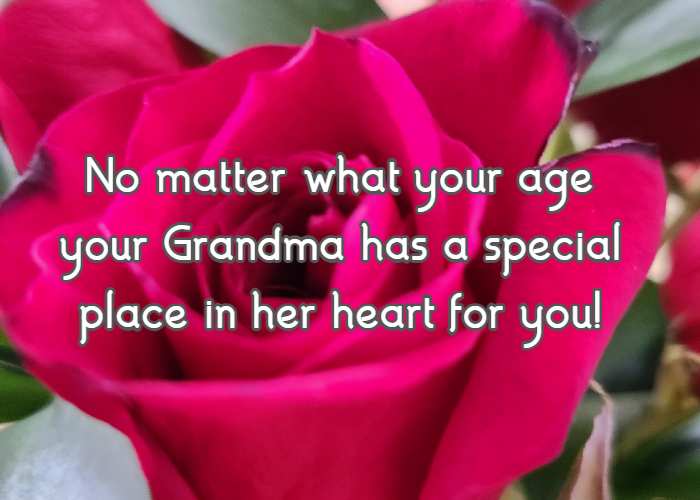 No matter what your age your Grandma has a special place in her heart for you!