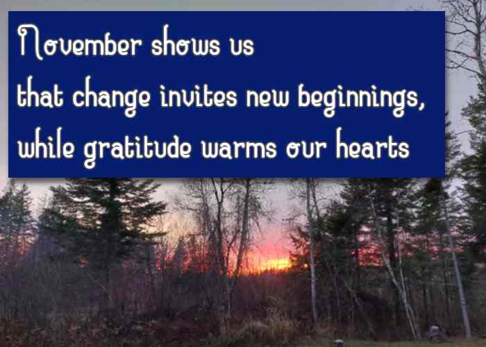 November shows us that change invites new beginnings, while gratitude warms our hearts