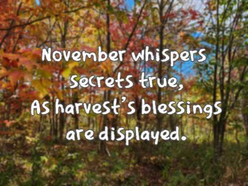 November whispers secrets true, As harvest's blessings are displayed.