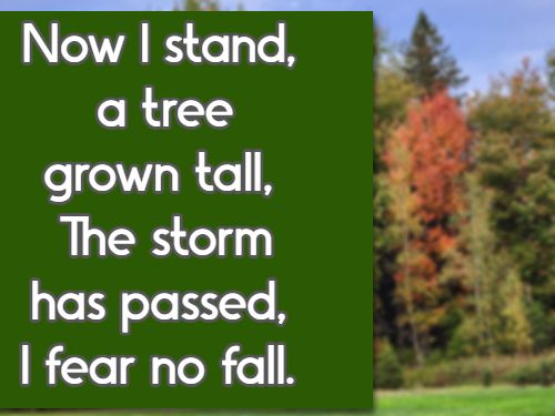 Now I stand, a tree grown tall, The storm has passed, I fear no fall.