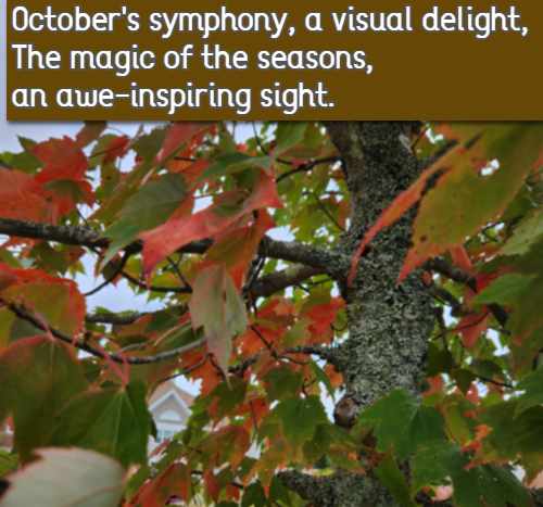 October's symphony, a visual delight, The magic of the seasons, an awe-inspiring sight.