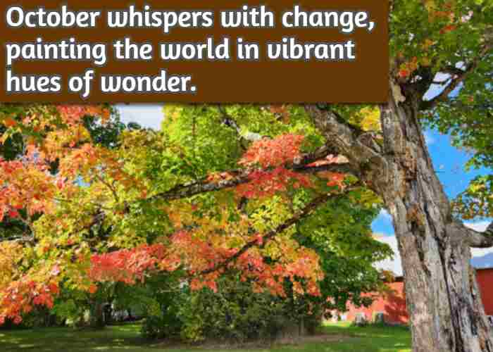 October whispers with change, painting the world in vibrant hues of wonder.