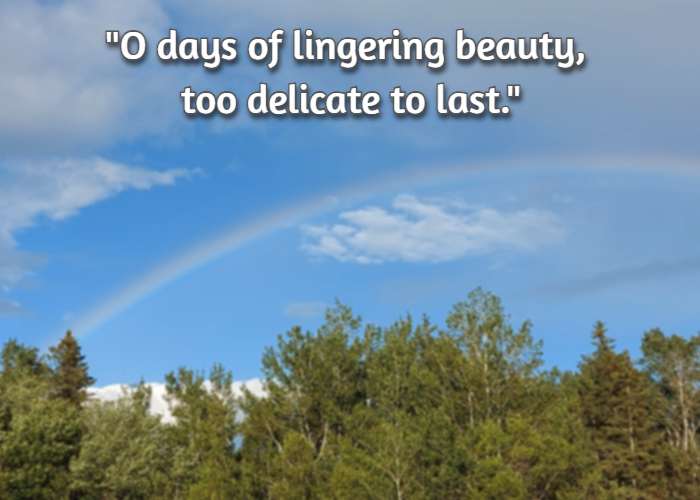 O days of lingering beauty, too delicate to last.