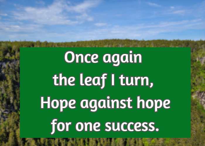 Once again the leaf I turn, Hope against hope for one success.