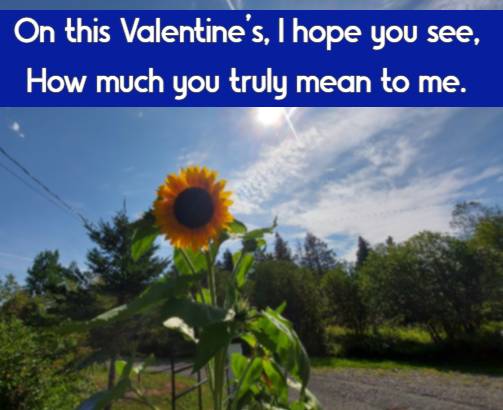 On this Valentine’s, I hope you see, How much you truly mean to me.