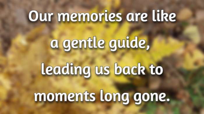 Our memories are like a gentle guide, leading us back to moments long gone.