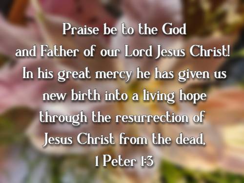 Praise be to the God and Father of our Lord Jesus Christ! In his great mercy he has given us new birth into a living hope through the resurrection of Jesus Christ from the dead, 1 Peter 1:3