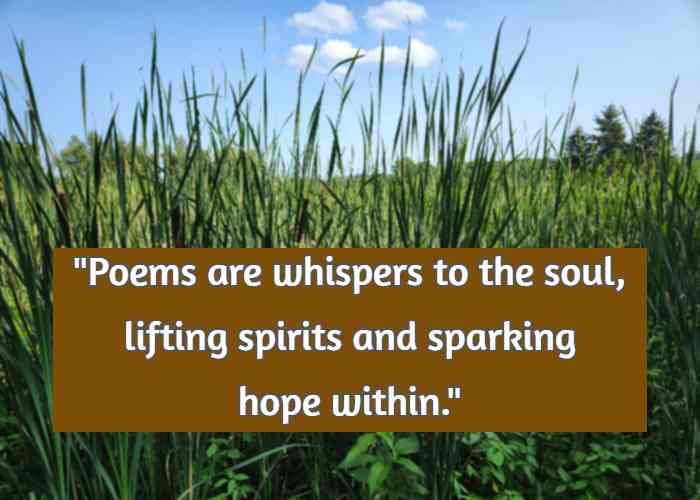 Poems are whispers to the soul, lifting spirits and sparking hope within.