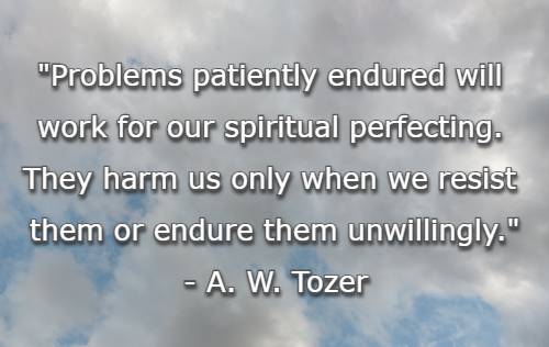 Problems patiently endured will work for our spiritual perfecting. They harm us only when we resist them or endure them unwillingly.