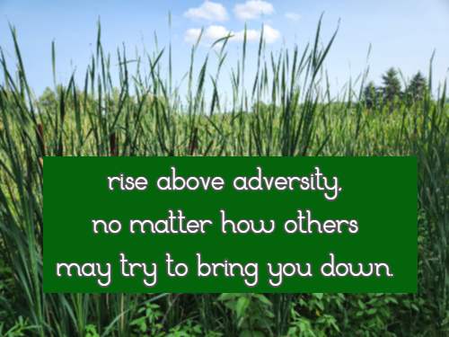  rise above adversity, no matter how others may try to bring you down.