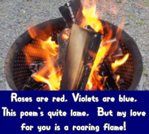 Roses are red, Violets are blue,  This poem's quite lame,  But my love for you is a roaring flame!