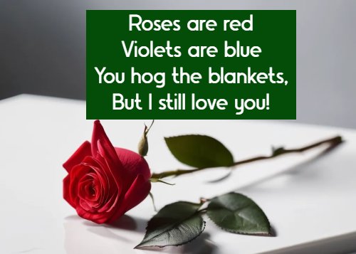 Roses are red Violets are blue You hog the blankets, But I still love you!