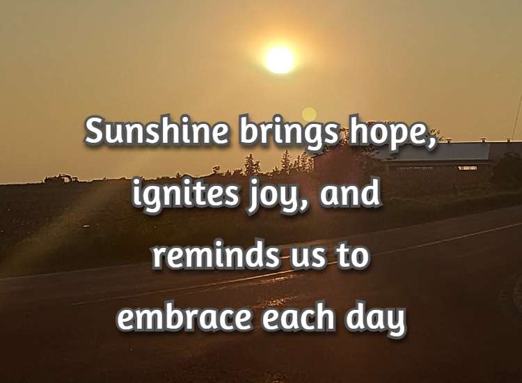 Sunshine brings hope, ignites joy, and reminds us to embrace each day