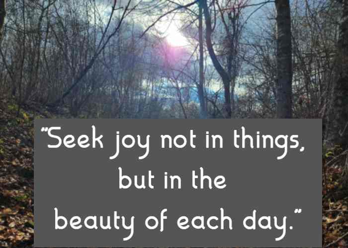 Seek joy not in things, but in the beauty of each day.