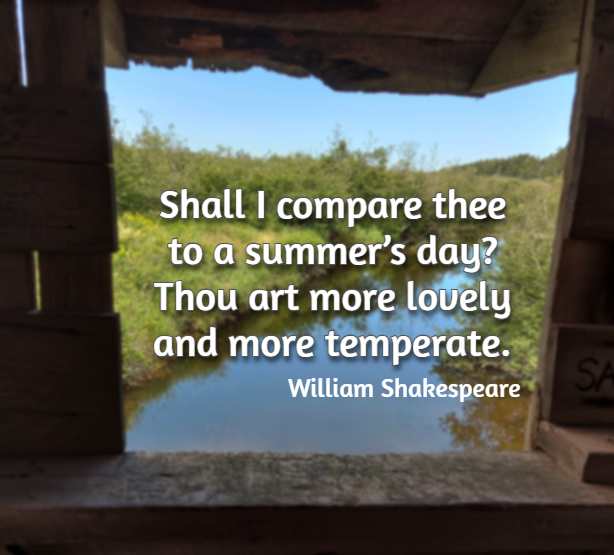 Shall I compare thee to a summer’s day? Thou art more lovely and more temperate. William Shakespeare