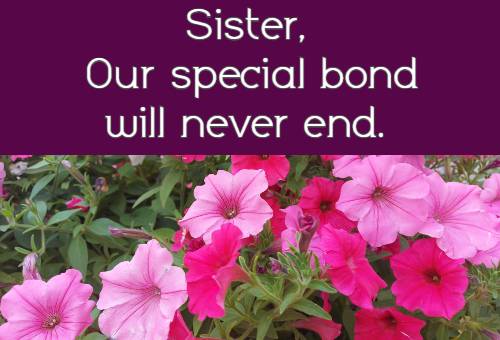 Sister, Our special bond will never end.