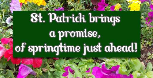 St. Patrick brings a promise, of springtime just ahead!