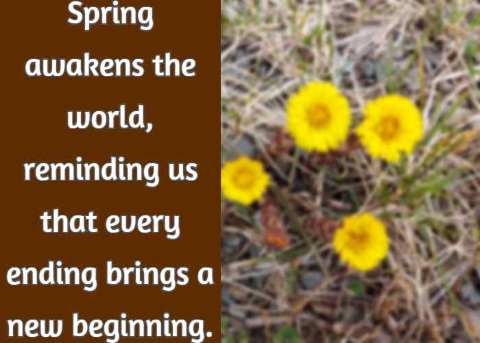 Spring awakens the world, reminding us that every ending brings a new beginning.