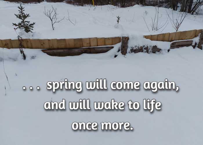 spring will come again, and will wake to life once more.