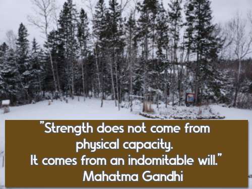 Strength does not come from physical capacity. It comes from an indomitable will.– Mahatma Gandhi