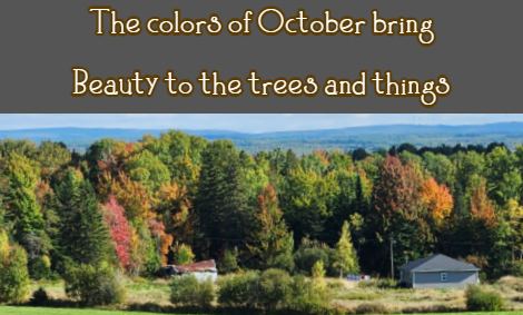 The colors of October bring Beauty to the trees and things