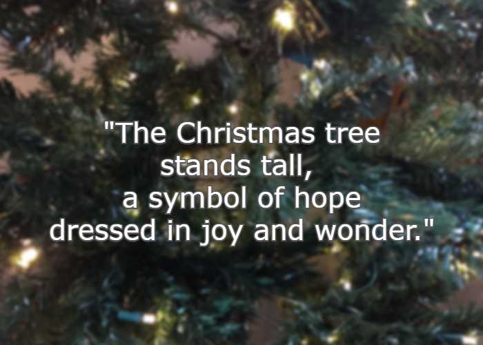 The Christmas tree stands tall, a symbol of hope dressed in joy and wonder.