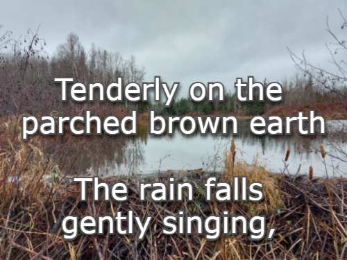 Tenderly on the parched brown earth The rain falls gently singing,