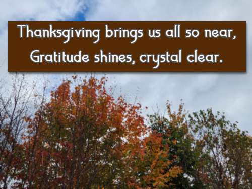 Thanksgiving brings us all so near, Gratitude shines, crystal clear.