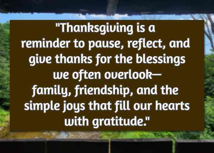 Thanksgiving is a reminder to pause, reflect, and give thanks for the blessings we often overlook—family, friendship, and the simple joys that fill our hearts with gratitude.