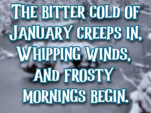 The bitter cold of January creeps in, Whipping winds, and frosty mornings begin.