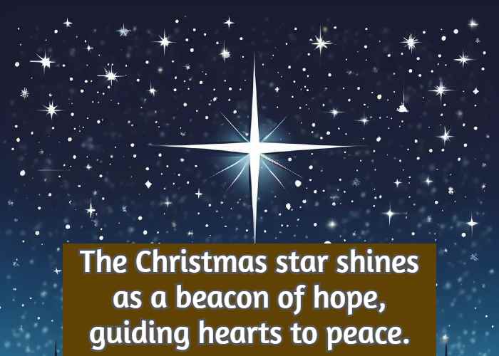 The Christmas star shines as a beacon of hope, guiding hearts to peace.