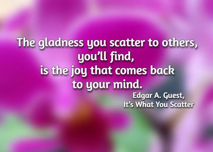 The gladness you scatter to others, you’ll find, is the joy that comes back to your mind. Edgar A. Guest, It’s What You Scatter