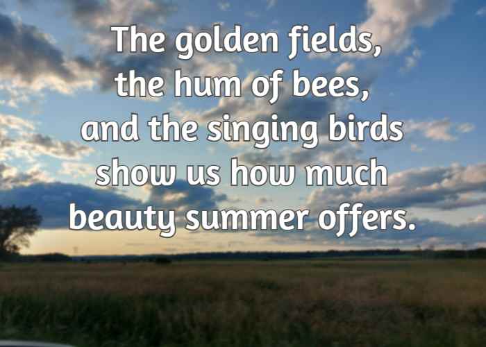 The golden fields, the hum of bees, and the singing birds show us how much beauty summer offers