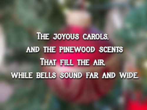 The joyous carols, and the pinewood scents That fill the air, while bells sound far and wide.