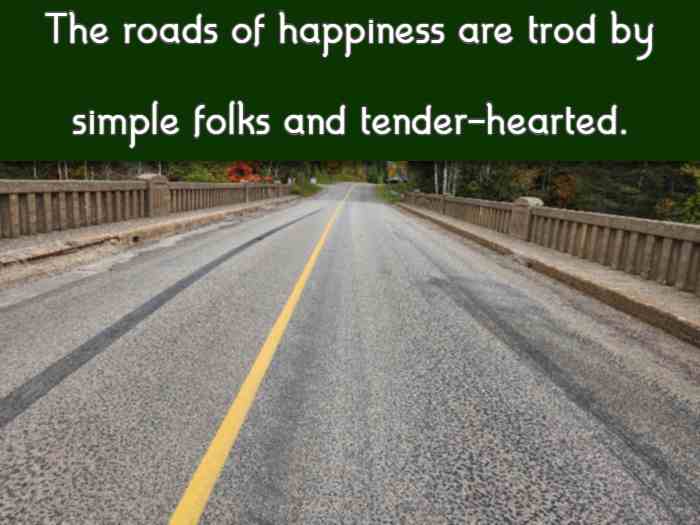 The roads of happiness are trod by simple folks and tender-hearted