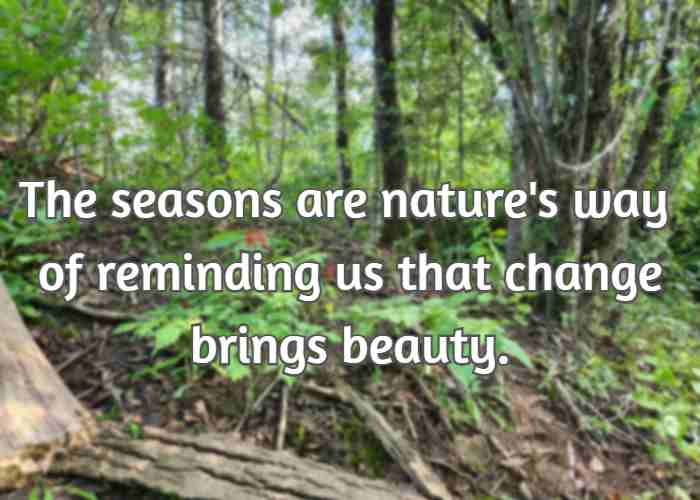 The seasons are nature's way of reminding us that change brings beauty.