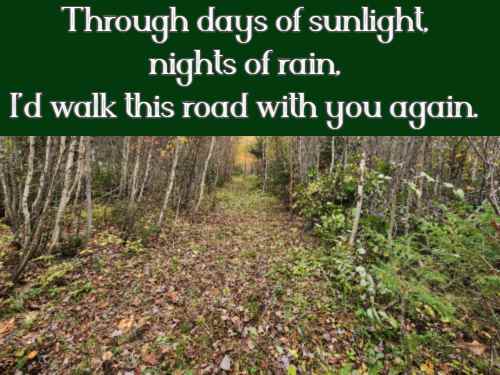 Through days of sunlight, nights of rain, I’d walk this road with you again.