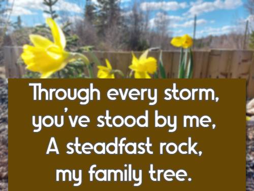 Through every storm, you’ve stood by me,  A steadfast rock, my family tree.