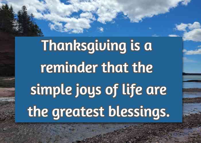 Thanksgiving is a reminder that the simple joys of life are the greatest blessings.