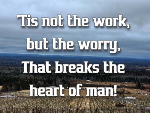 'Tis not the work, but the worry, That breaks the heart of man! 