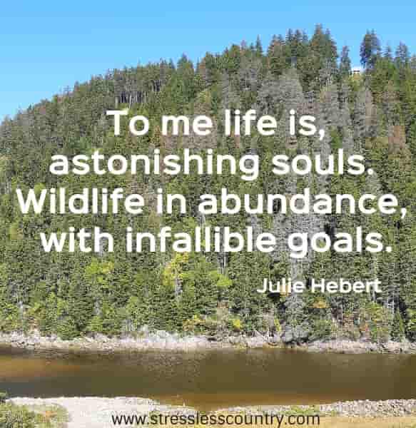 To me life is, astonishing souls. Wildlife in abundance, with infallible goals.