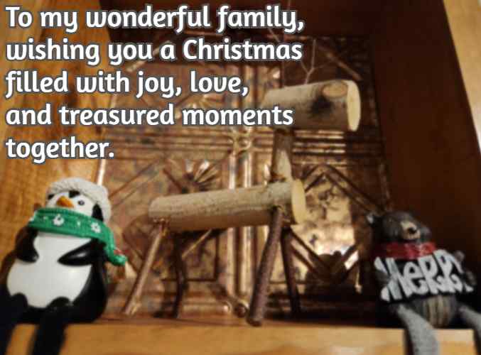 To my wonderful family, wishing you a Christmas filled with joy, love, and treasured moments together.