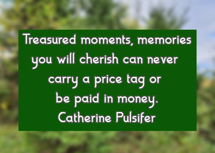 Treasured moments, memories you will cherish can never carry a price tag or be paid in money. Catherine Pulsifer