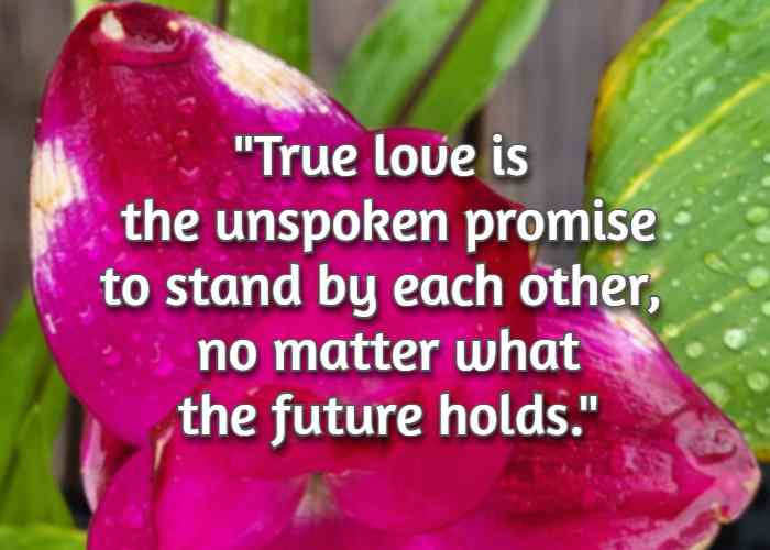 True love is the unspoken promise to stand by each other, no matter what the future holds.