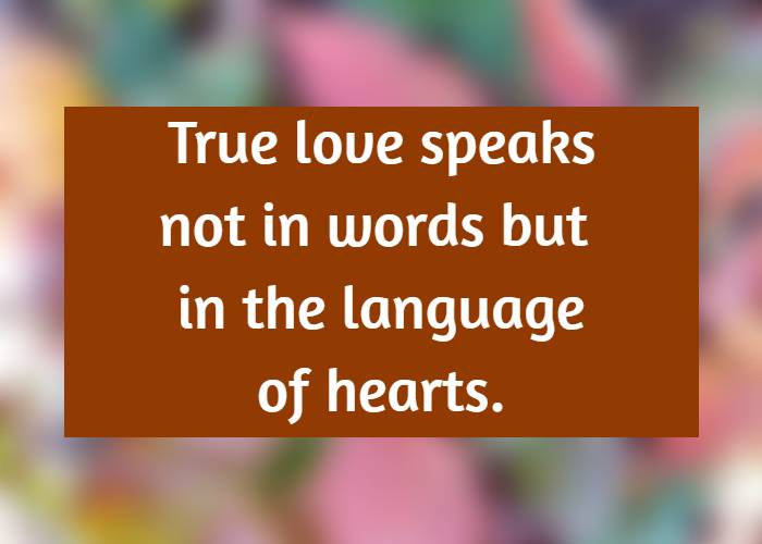 True love speaks not in words but in the language of hearts.