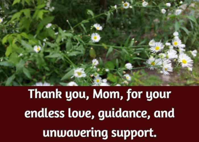 Thank you, Mom, for your endless love, guidance, and unwavering support.