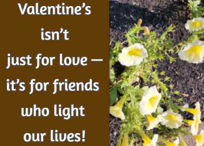 Valentine’s isn’t just for love—it’s for friends who light our lives!